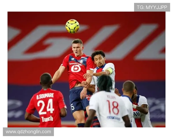 法甲里昂球员名单与阵容分析